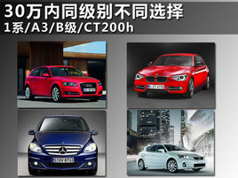 30fͬͬx 1ϵ/A3/B/CT200h