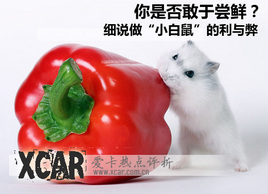 ԓ��ԓ�L�r�����f����С���󡱵����c��