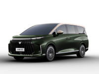 ���������׿�߶�MPV&ldquo;�ʵ�V9&rdquo; ���Ų��걨��Ϣ����