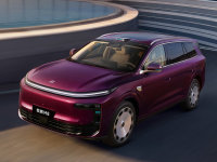 ����Ѫ��+��Ϊ����+�������� ��������M8�ع���������ʳ���
