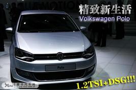 ܾ ̬Polo