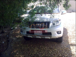 Ѹٸ2010