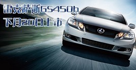 20 ׿˹GS450h϶