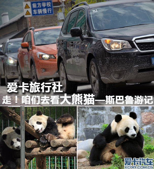 走!去看大熊猫 爱卡旅行社之斯巴鲁游记